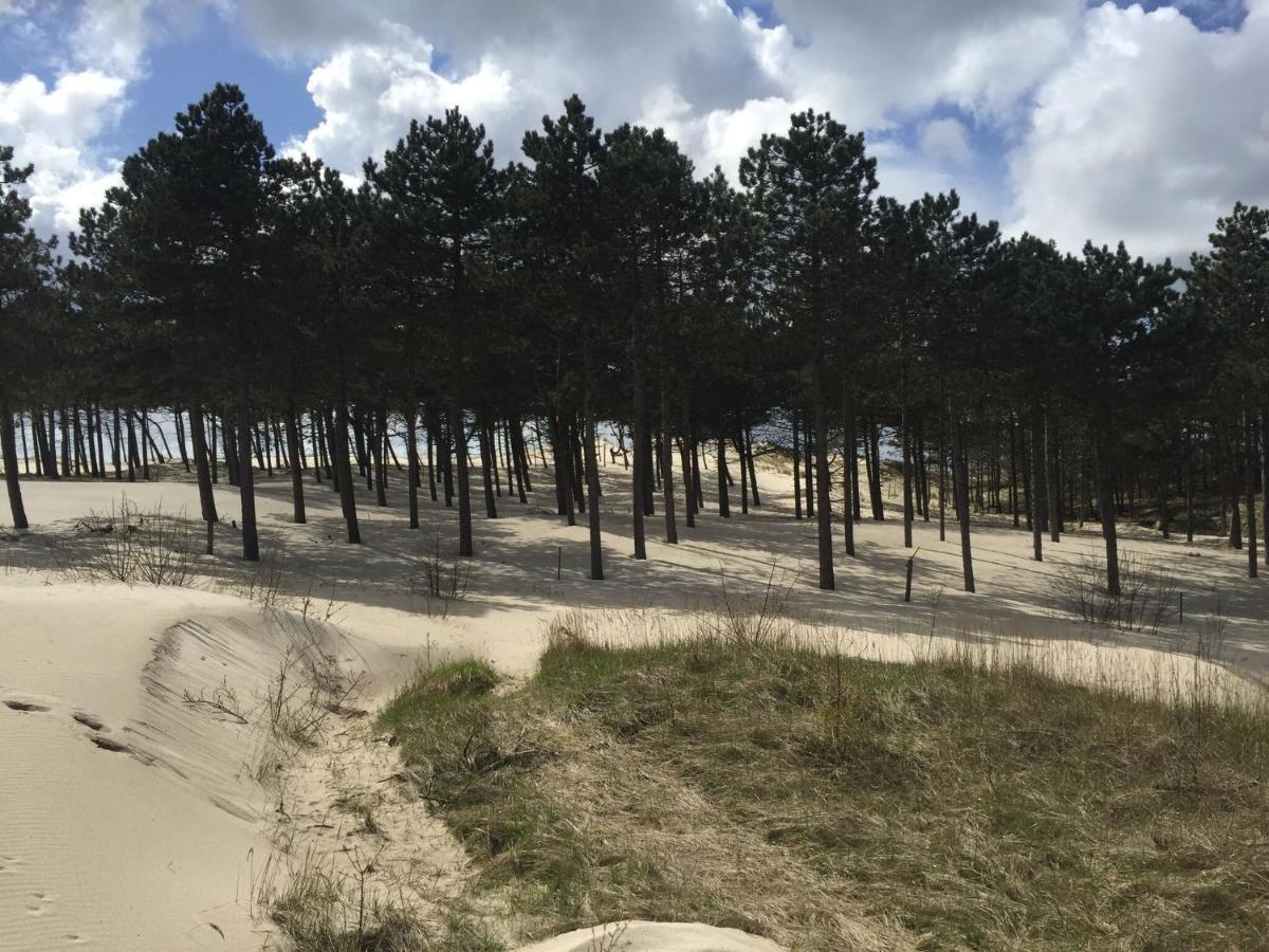 Romantic Holiday Home In Schoorl Near The Sea Eksteriør billede